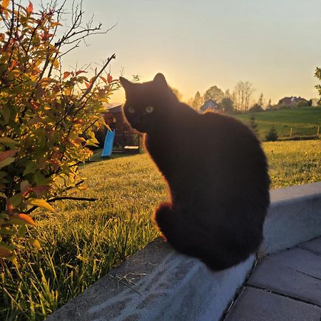 Domki pod lasem Villa Rokiciny Podhalanskie Exterior foto