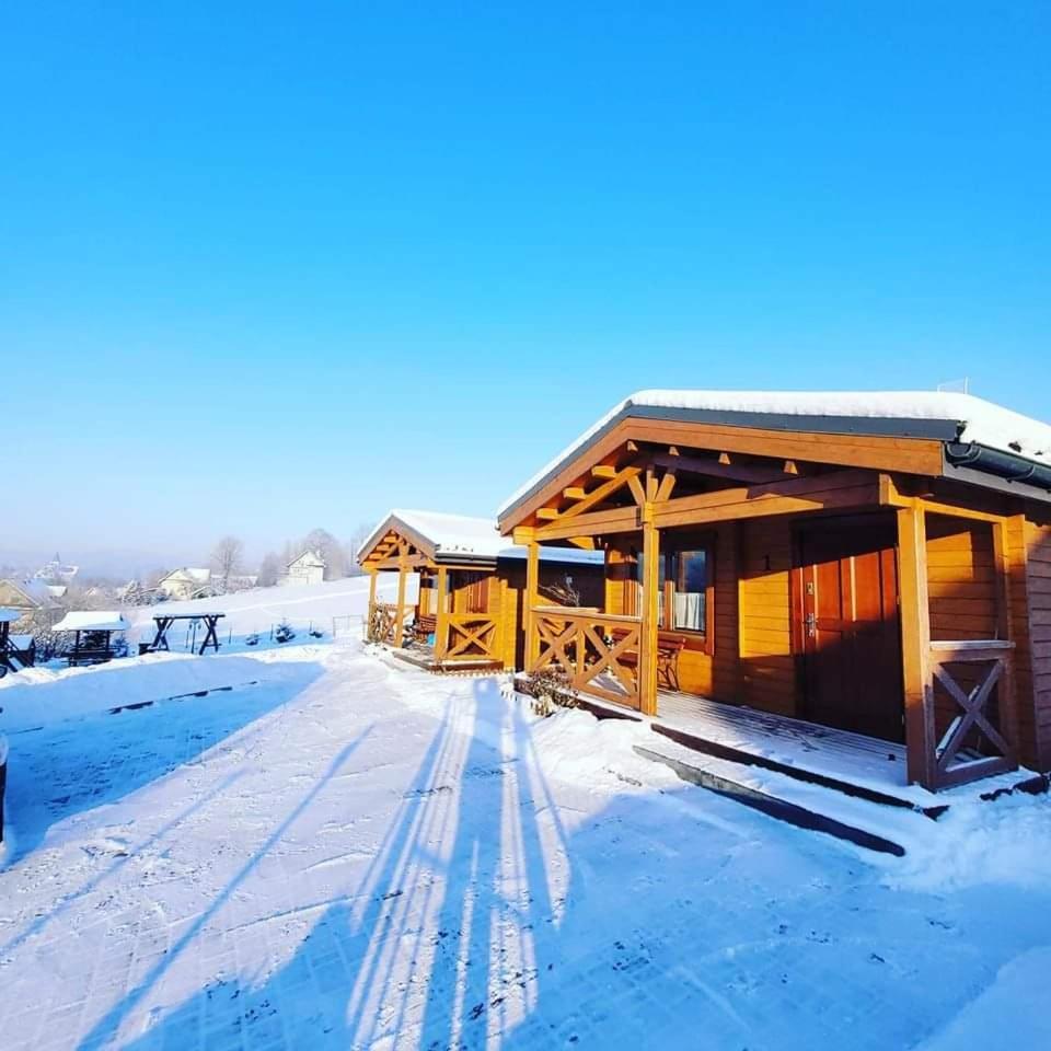 Domki pod lasem Villa Rokiciny Podhalanskie Exterior foto